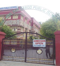 Shri Hari Ram Saboo Public School