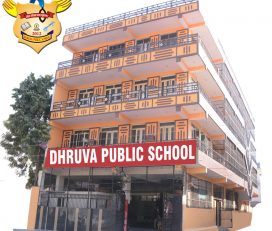 Dhruva Public School