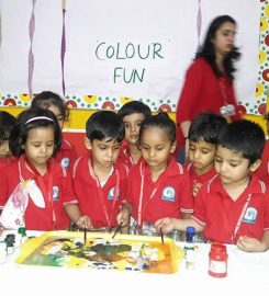 Dolphins Group of Schools