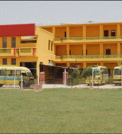 Indo Bharat International School